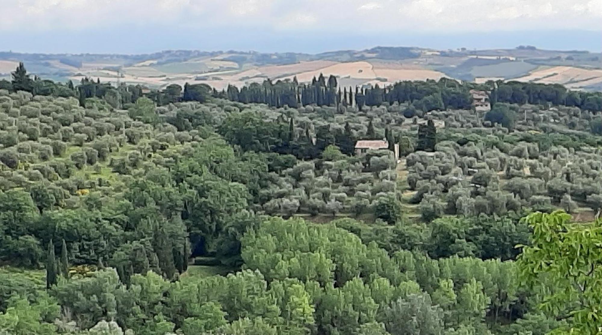Montebello Degli Olivi Chiusi Exterior foto